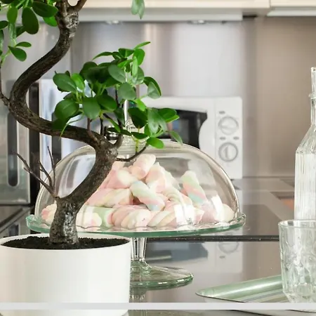 Domus Liuto Apartment *